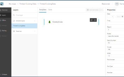 ArcGIS Field Maps Beta Update Two