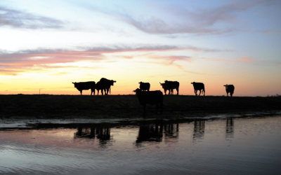 Livestock Water Tank Level Monitoring and Telemetry Systems