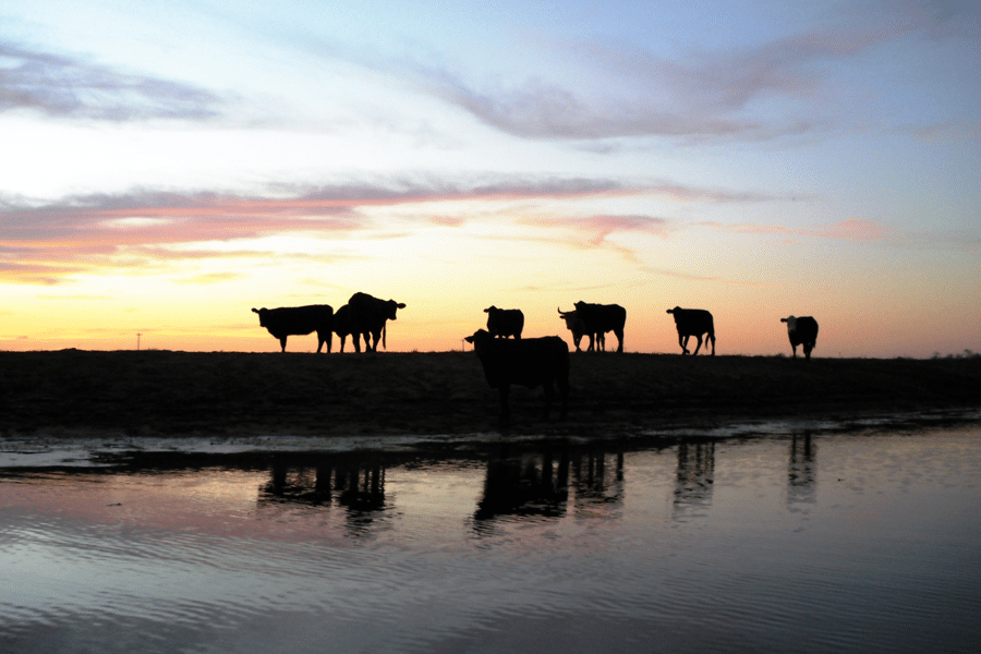 Livestock Water Tank Level Monitoring and Telemetry Systems