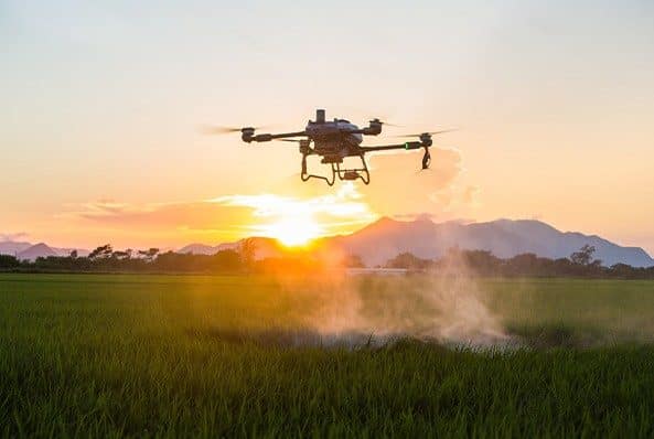 Talos T60X Sunset Field